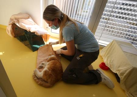 ZAVETIŠČE GMAJNICE PODPIS KONCESIJSKE POGODBE 36 FOTO LJUBO VUKELIČ